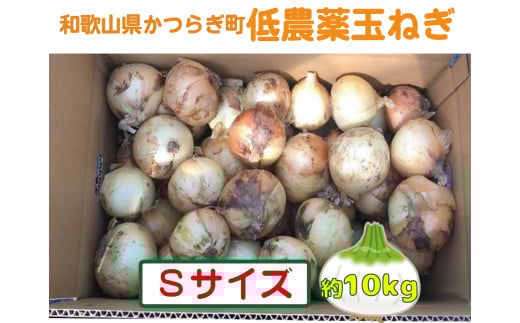 【2026年発送分・先行予約】農家さん直送 低農薬玉ねぎSサイズ 約10kg【2026年4月中旬~7月中旬発送予定】