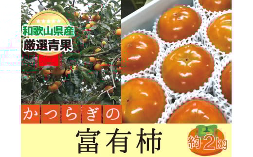 柿 富有柿【秀品】和歌山県産 約2kg【2025年11月中旬から2025年12月上旬発送】