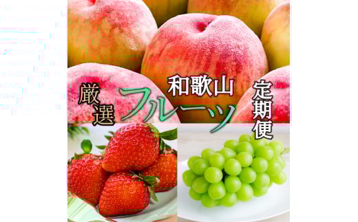 【全3回】和歌山厳選フルーツ定期便( いちご 桃 シャインマスカット )