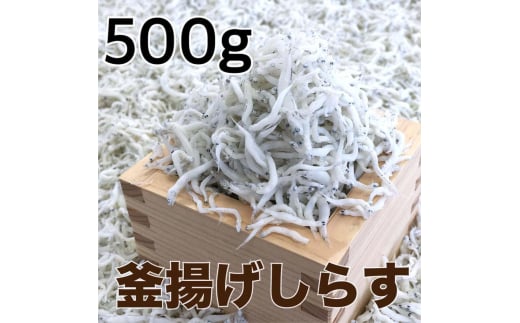 釜揚げしらす 約500g 【DN1】