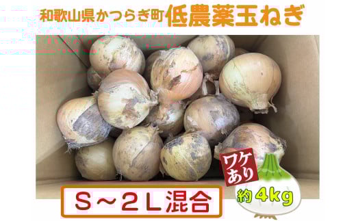 【2026年発送分・先行予約】【訳あり】農家さん直送 低農薬玉ねぎ 約4kg S~2L混合【2026年4月中旬~7月中旬発送予定】