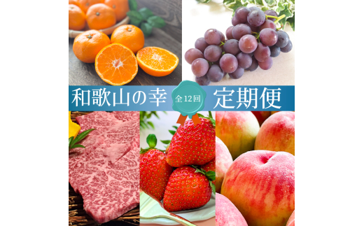 【全12回・毎月発送】和歌山をまるごと味わい尽くす定期便(熊野牛・フルーツ・梅酒)