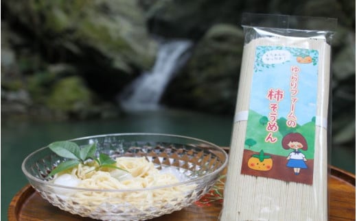 紀北 かつらぎ特産 たねなし柿そうめん【入金確認後、1週間以内を目途に発送】
