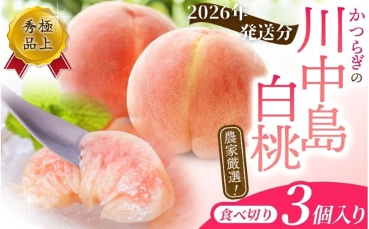 【2026年発送先行予約】【秀品】川中島白桃 食べきりやすい3個入りこだわり 農家厳選 先行予約 モモ  【2026年7月末頃から順次発送】【KG16】