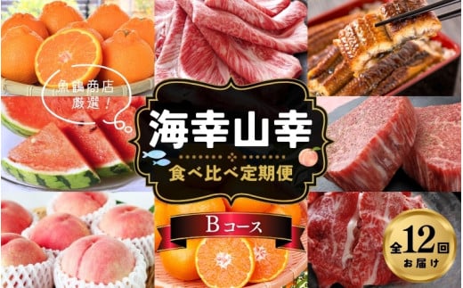 【魚鶴商店厳選!】人気の海幸山幸食べ比べ【定期便全12回】セットB【UT110】