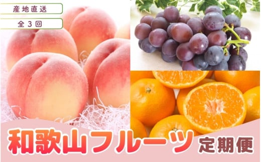 【定期便全3回】産直・和歌山フルーツ定期便(桃・ピオーネ・有田みかん)