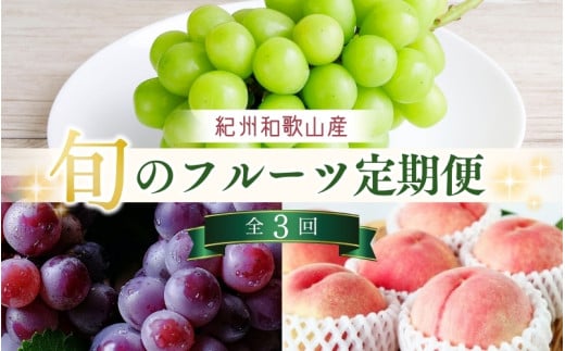 【7・8・9月 全3回 定期便 】紀州和歌山産旬のフルーツセット(桃・種なし巨峰・シャインマスカット)【UT124】