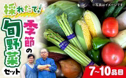 農家自慢 季節の野菜セット （7～10品目） / 詰め合わせ 野菜 やさい 野菜セット 野菜詰め合わせ 旬 春野菜 夏野菜 秋野菜 / 大村市 / 産直松吉[ACZC001]
