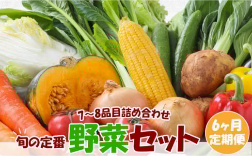【定期便6回コース】旬の定番野菜セット 使いやすい野菜を厳選 7〜8品目 詰め合わせ / 季節 旬 春野菜 夏野菜 秋野菜 / 大村市 / 古瀬青果[ACBD004]