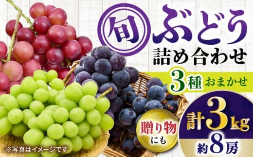 【先行受付】8月下旬より順次発送 旬のブドウ　3種詰め合わせ　約3kg　箱入り / ぶどう シャインマスカット しゃいんますかっと  フルーツ ふるーつ 果物 / 大村市 / 大又農園 [ACZO004]