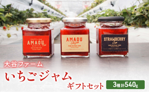 ジャム 大谷ファーム いちごジャム セット 3種 計540g ギフトセット ※配送不可:離島