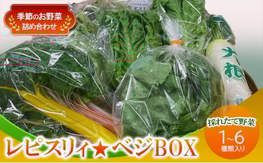 野菜 セット レピスリィ★ベジBOX 季節のお野菜 1~6種類 詰め合わせ ※配送不可:北海道、沖縄、離島