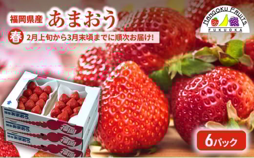 【春】福岡産あまおう6パック いちご  苺 イチゴ フルーツ 果物 ※配送不可:離島