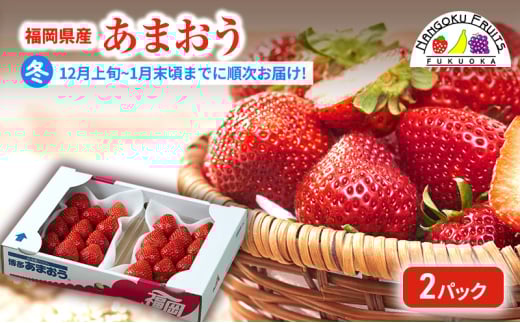 【冬】福岡産あまおう2パック いちご  苺 イチゴ フルーツ 果物 ※配送不可:離島