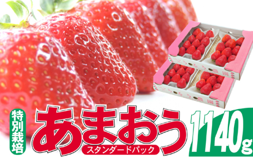 いちご 2025年12月より発送 うるう農園のあまおう スタンダード4パック 約1.14kg 果物 フルーツ デザート 食後 特別栽培 福岡県産 国産 日本産 ※配送不可:離島