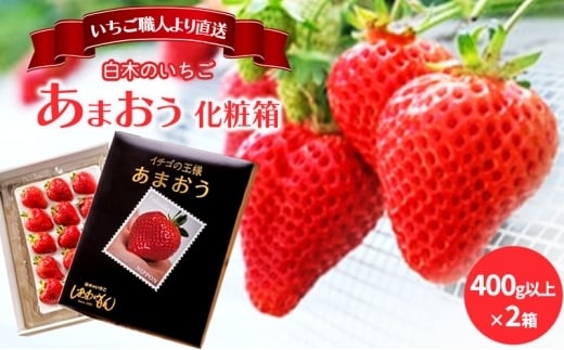 いちご 1月配送 しあわせもん あまおう 化粧箱 2箱 いちご職人 白木のいちご イチゴ 苺 果物 デザート ※配送不可:沖縄・離島
