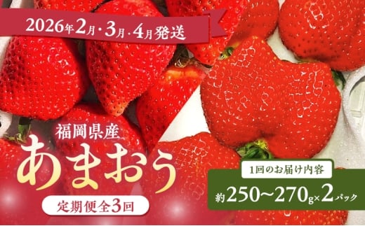 あまおう 定期便 3回 【定期便】あまおう2パック×3回(2月、3月、4月発送) イチゴ 苺 いちご 果物 福岡県産 ※配送不可:離島