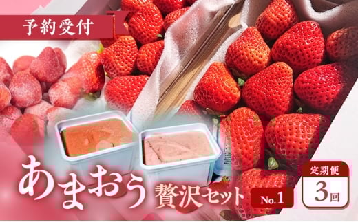 【2026年3月上旬より発送開始】【予約受付・3回定期便】あまおう贅沢セットNo.1 ※配送不可:北海道・沖縄県・離島