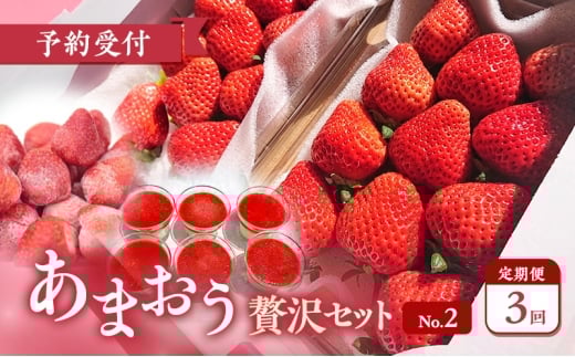 【2026年3月上旬より発送開始】【予約受付・3回定期便】あまおう贅沢セットNo.2 ※配送不可:北海道・沖縄県・離島