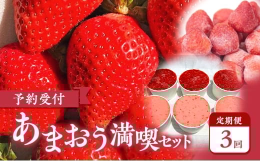 【2026年3月上旬より発送開始】【予約受付・3回定期便】あまおう満喫セット ※配送不可:北海道・沖縄県・離島