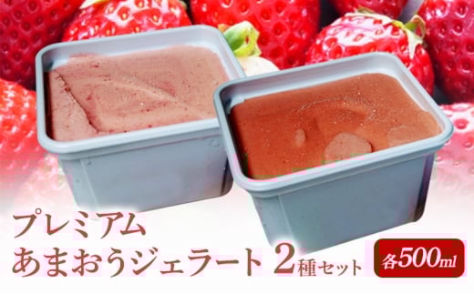 プレミアムあまおうジェラート 2種セット ( シャーベット ・ アイス 各500ml) あまおう いちご デザート ジェラート ※配送不可:北海道・沖縄・離島