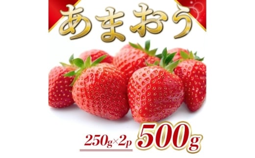 苺 福岡県産 あまおう 500g(2パック)先行予約 発送予定:2025年12月より順次発送 いちご イチゴ 果物 ※配送不可:離島