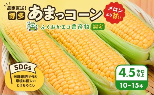 【来年度受付予約:2026年6月より発送】とうもろこし 農家直送!SDGs米糠堆肥で作った環境に優しいメロンより甘い 博多あまっコーン 4.5キロ以上 (10~15本) /酒見農産/トウモロコシ ※配送不可:離島