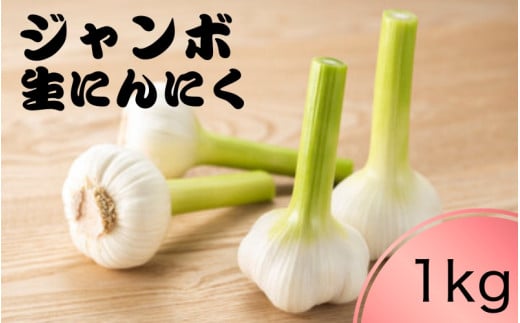 令和7年度産 秘境の地からお届けする あゆみファームのご家庭用新ジャンボ生にんにく 1kg【6月中旬~7月上旬から順次発送】/ にんにく ニンニク ジャンボにんにく 予約受付 ガーリック 和歌山【aym018】