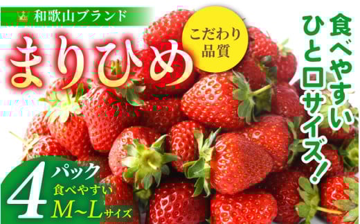 [先行予約]まりひめイチゴ4パック 食べやすいひと口サイズ M〜L(15粒〜20粒入×4パック)[2026年1月初旬〜3月下旬頃に順次発送](お届け日指定不可)/ いちご 苺 まりひめ 和歌山 フルーツ[kgr034]