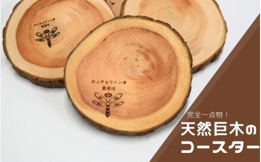 天然巨木の枝から作った一点物 コースター 【nnks001】