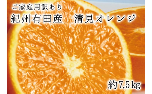 【ご家庭用訳アリ】紀州有田産清見オレンジ 7.5kg 	※2026年3月下旬頃〜2026年4月中旬頃に順次発送予定(お届け日指定不可)【uot730】