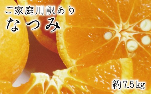 【ご家庭用訳アリ】初夏のみかん なつみ7.5kg ※2026年4月中旬頃〜2026年4月下旬頃に順次発送予定(お届け日指定不可)【uot733A】
