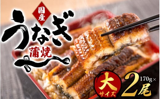 [大型サイズ]ふっくら柔らか 国産うなぎ蒲焼き 2尾/うなぎ ウナギ 鰻 うなぎ蒲焼 国産[uot302A-3]