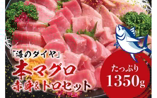 本マグロ（養殖）トロ＆赤身セット 1350g 【1か月以内に発送】【配達日指定不可】高級 クロマグロ  中トロ 中とろ まぐろ マグロ 鮪 刺身 赤身 柵 じゃばらまぐろ 本マグロ 本鮪【nks111B】