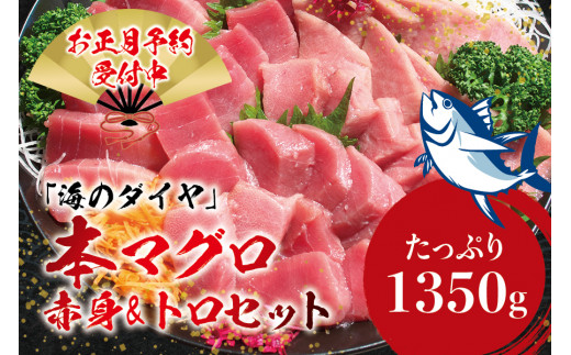 本マグロ（養殖）トロ＆赤身セット 1350g 【年末発送（12月25日～30日発送）】【配達日指定不可】高級 クロマグロ  中トロ 中とろ まぐろ マグロ 鮪 刺身 赤身 柵 じゃばらまぐろ 本マグロ 本鮪 年内配送 年内発送 お正月 正月【nks111B-sg】