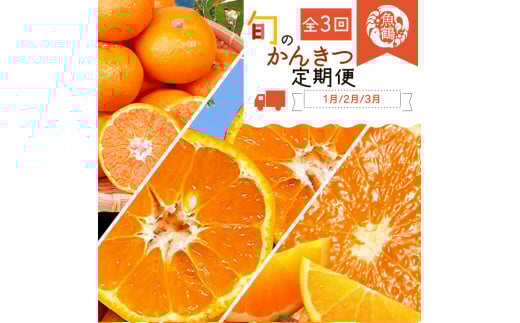 【3か月定期便】人気のみかんを集めた！旬の柑橘定期便  田村みかん・ポンカン・清見オレンジ【tkb111】