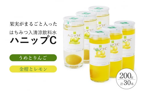 果実入り清涼飲料水 ハニップC 2種類セット(30本)【prm001A】