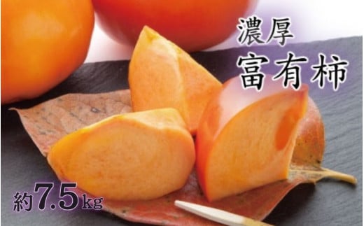 【秋の美味】【和歌山ブランド】濃厚!富有柿 秀品 M~Lサイズ 約7.5kg入り【ard013C】