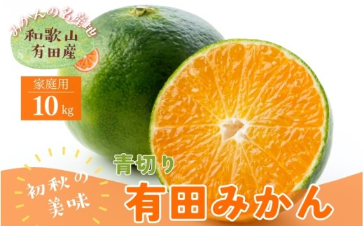 有田みかん農家直送ご家庭用 ふるさと納税 「ご家庭用 完熟有田みかん 約5kg［2025年12月発送