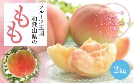 [先行予約][夏の美味][和歌山ブランド]フルーツ王国 和歌山 の 桃 約2kg ※2025年6月中旬〜7月下旬頃順次発送予定(お届け日指定不可)白桃 白鳳清水 白桃 なつっこ 川中島 桃 モモ 和歌山の桃 フルーツ王国[ard048C]