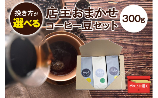 【粗挽き】店主おまかせ 挽き立てコーヒー豆3種類セット(100g×3種類)【hgo003-c】