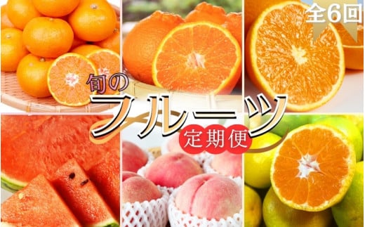 [全6回]旬のフルーツ定期便 [田村みかん 紀州デコ(不知火) 清見オレンジ 小玉スイカ 桃 ゆら早生みかん] 和歌山の旬をお届け / みかん ミカン 温州みかん 有田みかん 不知火 デコポン 桃 もも モモ スイカ すいか 早生 柑橘 フルーツ 果物 くだもの 旬 人気 甘い 定期便[tkb314]