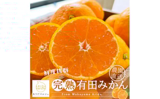 [2025年11月発送]農園直送!完熟有田みかん[サイズ混合]約10kg+200g [ard004C-11]