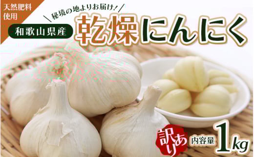 令和7年度産 秘境の地からお届けする あゆみファームの訳あり乾燥にんにく 1kg【6月中旬から順次発送】/ にんにく ニンニク 訳あり 予約受付 ガーリック 和歌山【aym005】