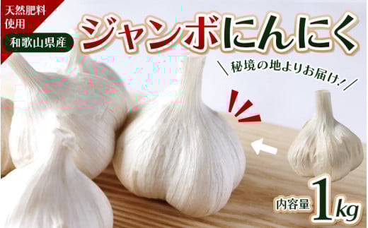 令和7年度産 秘境の地からお届けする あゆみファームのご家庭用ジャンボにんにく 1kg【7月下旬から順次発送】/ にんにく ニンニク ジャンボにんにく 予約受付 ガーリック 和歌山【aym009】