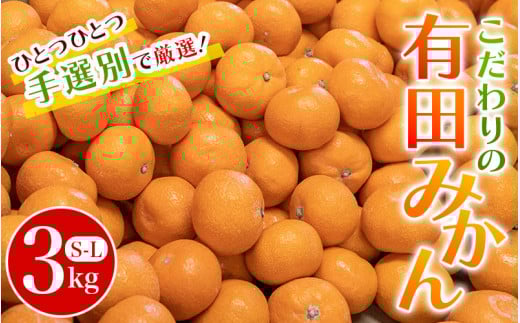 こだわりの和歌山県産 有田みかん 3kg(S〜Lサイズおまかせ) ひとつひとつ手選別で厳選!生産者から直送 [2025年11月下旬〜1月中旬ごろに順次発送予定] | みかん フルーツ 果物 くだもの 有田みかん 蜜柑 柑橘[hdm004A]
