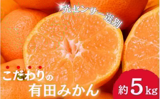 [2025年11月発送]＼光センサー選別/農家直送 [家庭用]こだわりの有田みかん 約5kg+250g(傷み補償分) みかん ミカン 有田みかん 温州みかん 柑橘 有田 和歌山 ※北海道・沖縄・離島配送不可/みかん ミカン 有田みかん 温州みかん 柑橘 有田 和歌山 産地直送[nuk160-11]