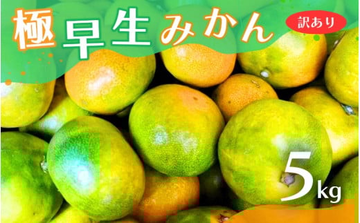 【2025年秋頃発送予約分】【訳あり】こだわりの極早生みかん 約5kg ※2025年10月上旬より順次発送予定(お届け日指定不可) 有機質肥料100% サイズ混合  有田産【nuk165A】