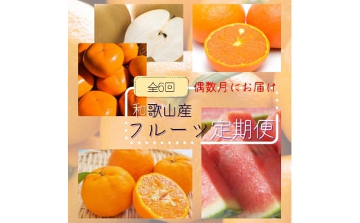 【全6回定期便】偶数月にお届け♪【産直】和歌山産フルーツ定期便!ポンカン・カラマンダリン・小玉すいか・梨・たねなし柿・有田みかん【tkb359】
