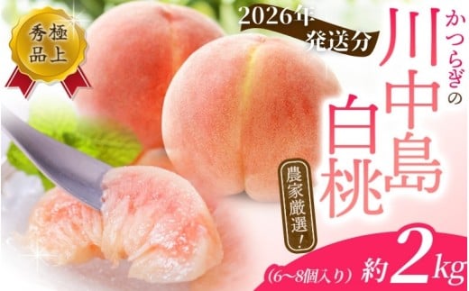 [予約受付]こだわり農家厳選 川中島白桃 和歌山産の桃 [大玉特秀品] 約2kg(6個~8個) [2026年7月末頃〜2026年8月末頃に順次発送予定](お届け日指定不可)/ 桃 もも 川中島 白桃 フルーツ 果物 くだもの [kgr011]